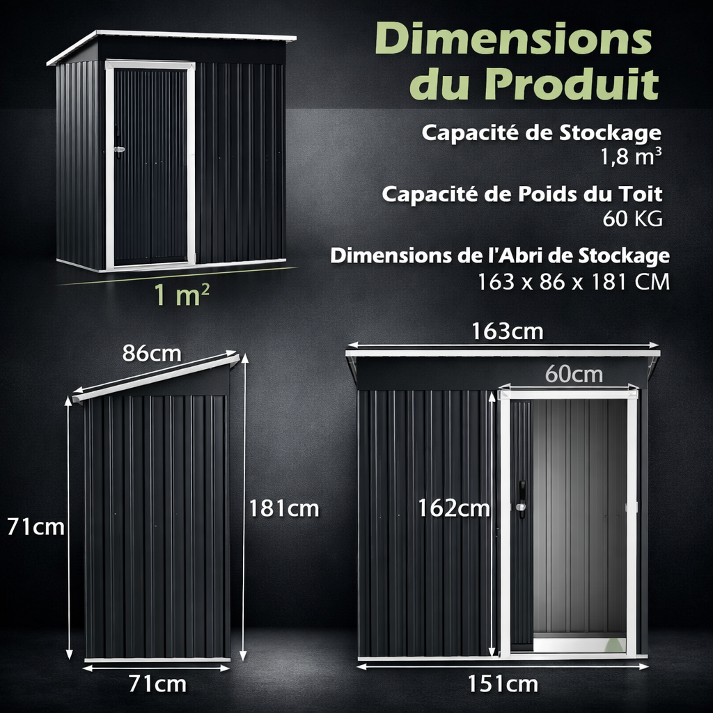 Abri de Jardin en Métal 163 x 86 cm avec Porte Coulissante Verrouillable